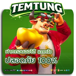 tem tung auto